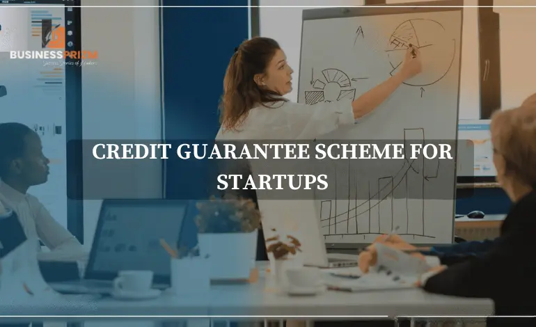 Credit Guarantee Schemes for Startups