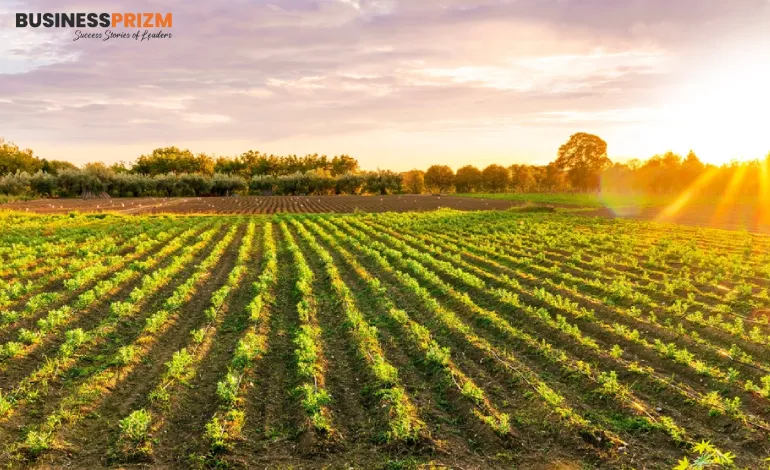 Govt Launches Rs 750 Cr ‘AgriSure’ Fund to Boost Agritech Startups